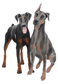 Stella and Willie